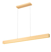 Hudson 1 Light 55" Linear Pendant in Gold