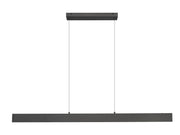 Hudson 1 Light 55" Linear Pendant in Matte Black