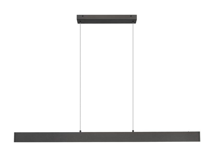 Hudson 1 Light 55" Linear Pendant in Matte Black