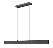 Hudson 1 Light 55" Linear Pendant in Matte Black