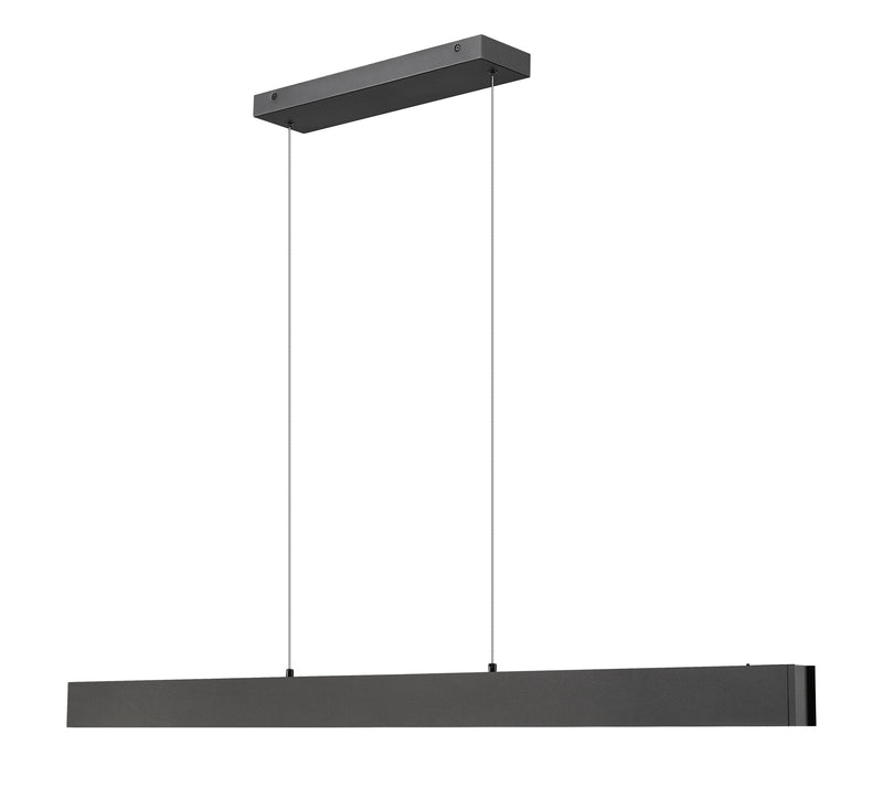Hudson 1 Light 55" Linear Pendant in Matte Black