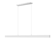 Hudson 1 Light 72" Linear Pendant in Brushed Nickel