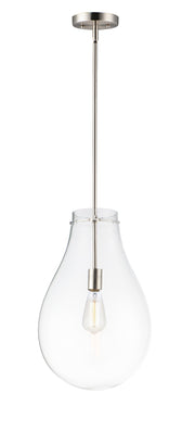 Gourd 1 Light Pendant in Satin Nickel