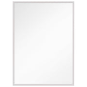 Kit 24" x 36" Mirror in Polished Nickel