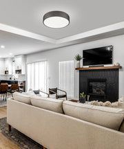 Coronado 1 Light 20" Flush Mount in Bronze in a room setting