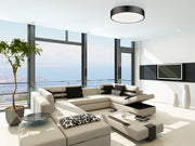 Coronado 1 Light 20" Flush Mount in Matte Black in a room setting
