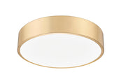 Coronado 1 Light 20" Flush Mount in Modern Gold