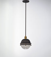 Portside 10" Outdoor Pendant in Oil Rubbed Bronze / Antique Brass
