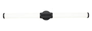 Solange 1 Light 40.5" Vanity in Matte Black