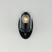 Corona 1 Light Wall Sconce in Black