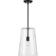 Clarion Clear Glass Pendant in Black