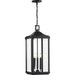 Gibbes Street Three Light Hanging Lantern in Black