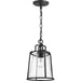 Benton Harbor One Light Hanging Lantern in Black