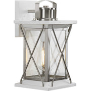 Barlowe Small Outdoor Wall Lantern in Stainless Steel
