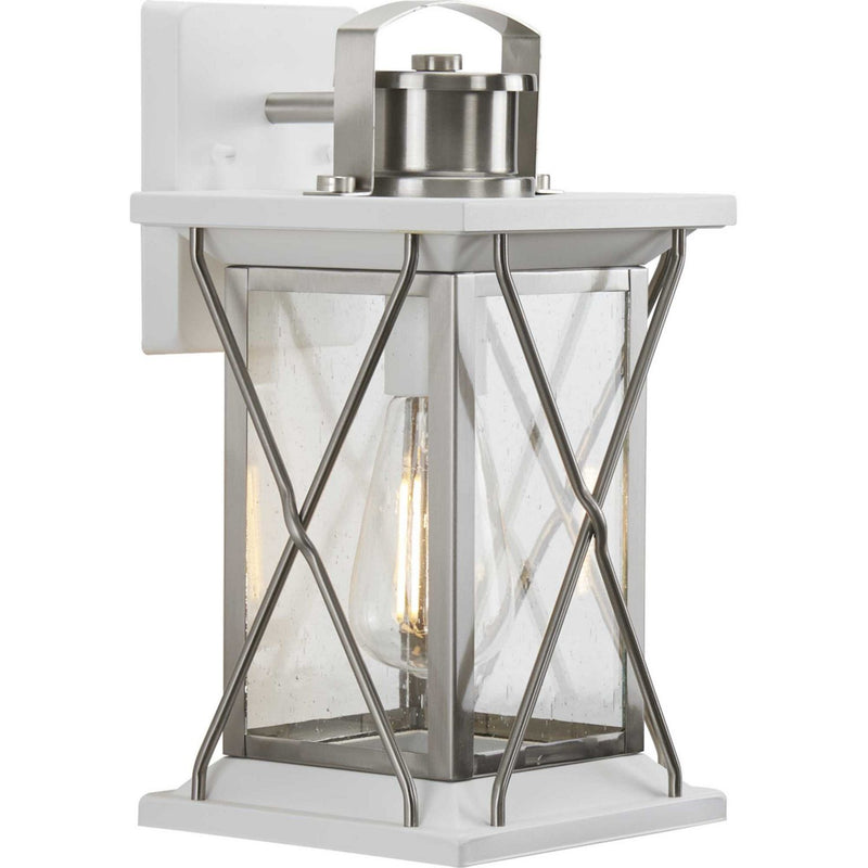 Barlowe Small Outdoor Wall Lantern in Stainless Steel