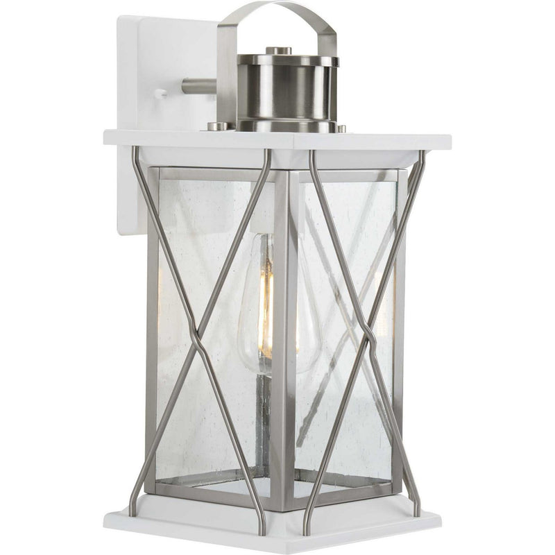 Barlowe Medium Outdoor Wall Lantern in Stainless Steel