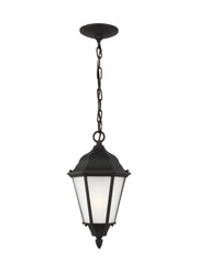Bakersville Satin Etched Outdoor Lantern Pendant in Black