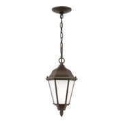 Bakersville Satin Etched Outdoor Lantern Pendant in Antique Bronze