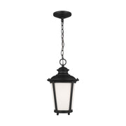 Cape May Outdoor Lantern Pendant in Black