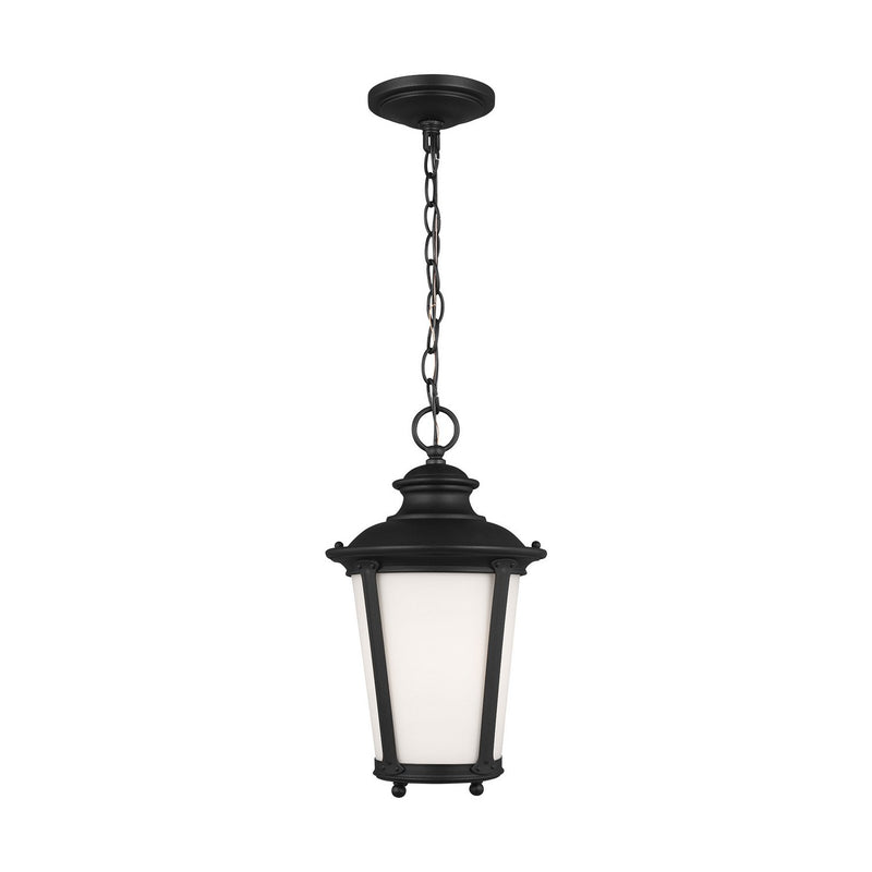 Cape May Outdoor Lantern Pendant in Black