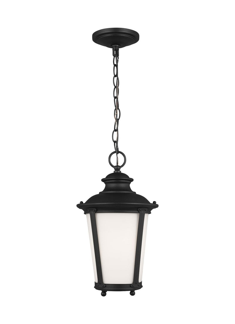 Cape May Outdoor Lantern Pendant in Black