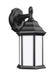 Sevier One Light Outdoor Wall Lantern in Black