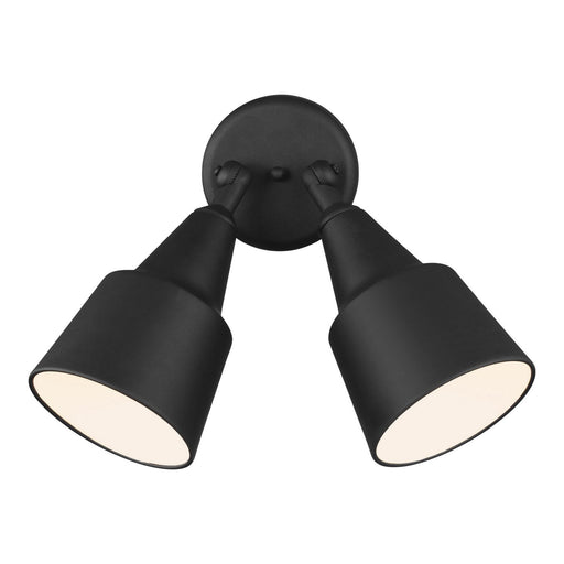 Flood Light Adjustable 2-Light Outdoor Wall Sconce in Black