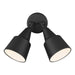 Flood Light Two Light Adjustable Swivel Flood Light in Black