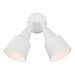 Flood Light Two Light Adjustable Swivel Flood Light in White
