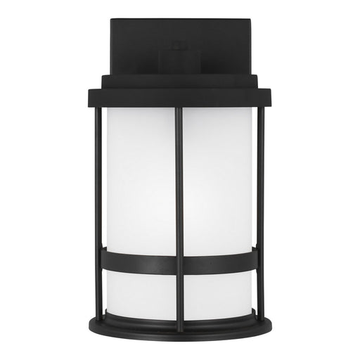 Wilburn Small Outdoor Wall Lantern 8590901D in Black