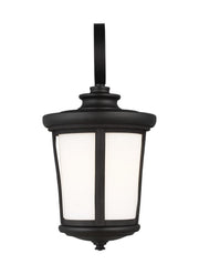 Eddington 8" Outdoor Wall Lantern in Black