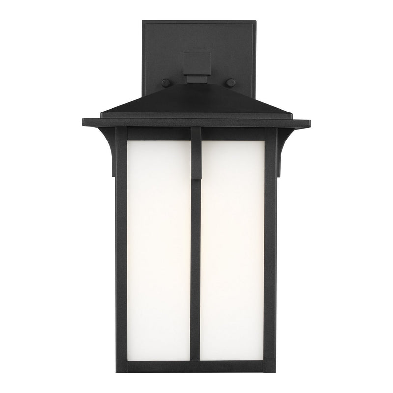 Tomek 14" Etched Glass Outdoor Wall Lantern in Black