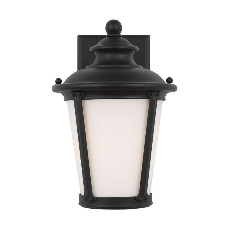 Cape May 10.5" Outdoor Wall Lantern in Black