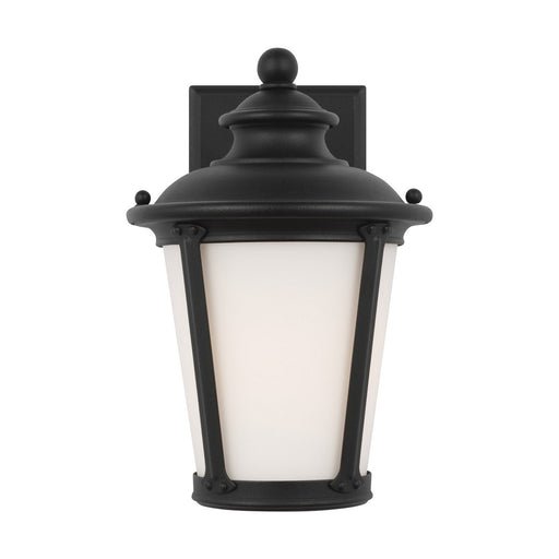 Cape May 10.5" Outdoor Wall Lantern in Black
