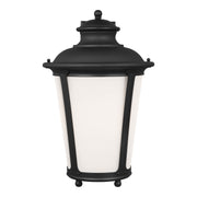 Cape May 20" Outdoor Wall Lantern in Black