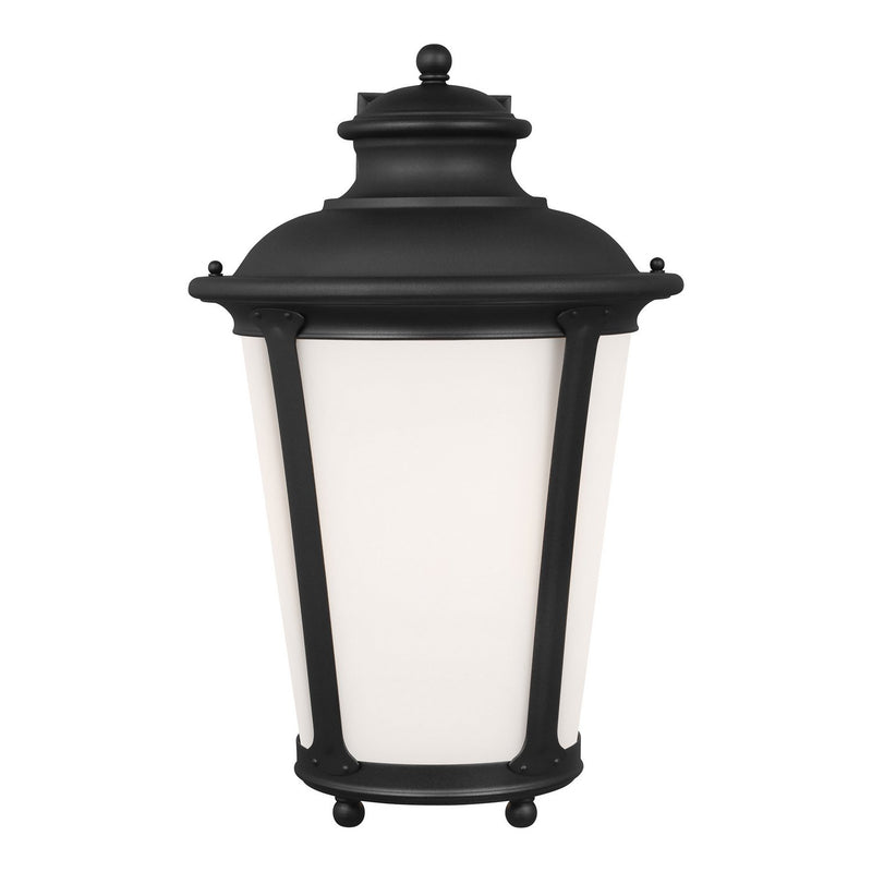 Cape May 20" Outdoor Wall Lantern in Black