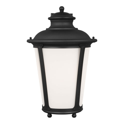 Cape May 20" Outdoor Wall Lantern in Black