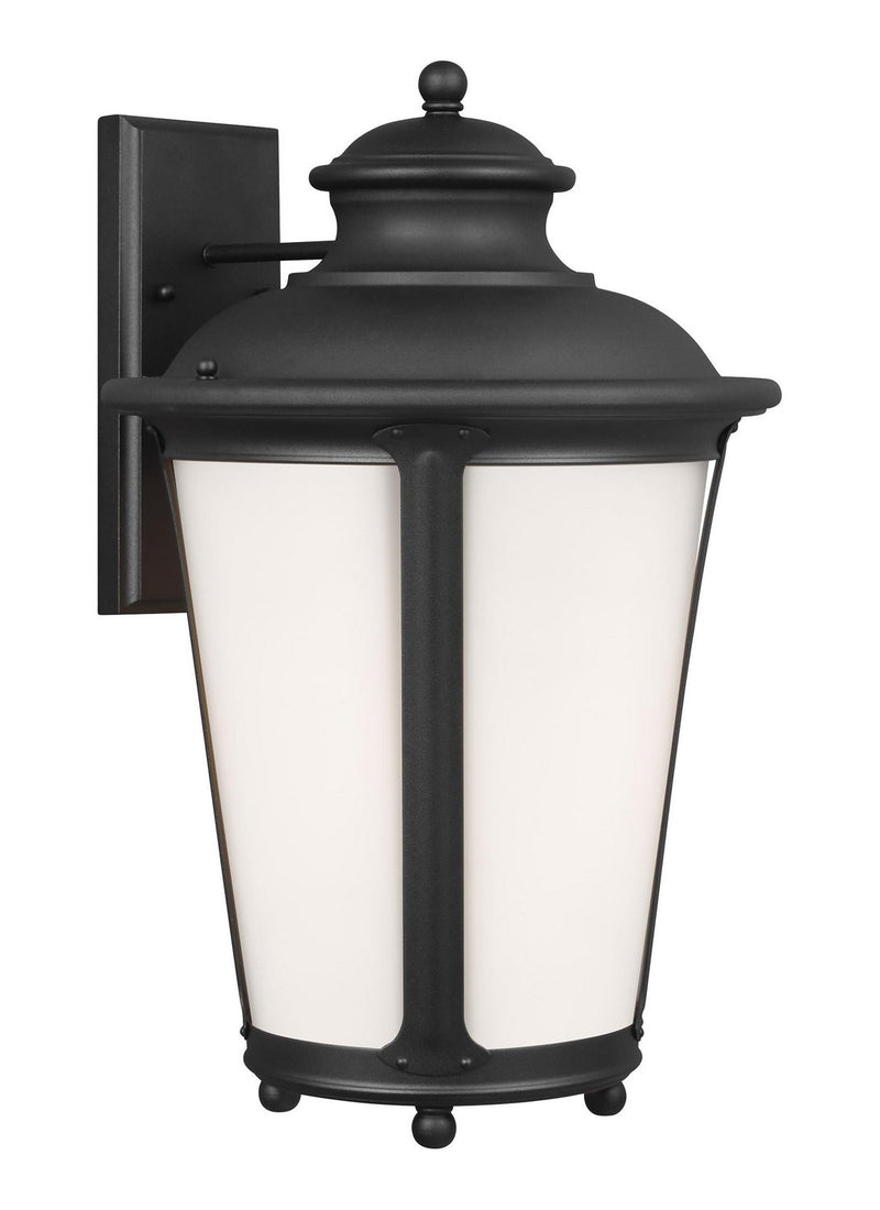 Cape May 20" Outdoor Wall Lantern in Black