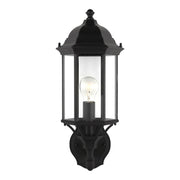 Sevier 19.38" Clear Glass Outdoor Wall Lantern in Black
