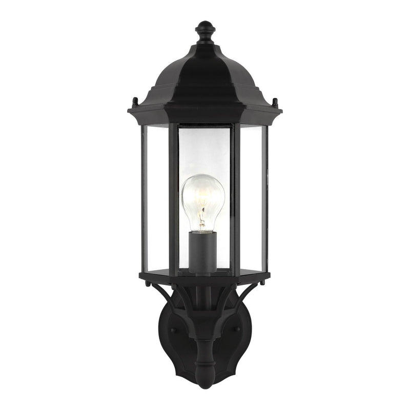 Sevier 19.38" Clear Glass Outdoor Wall Lantern in Black