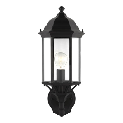 Sevier 19.38" Clear Glass Outdoor Wall Lantern in Black