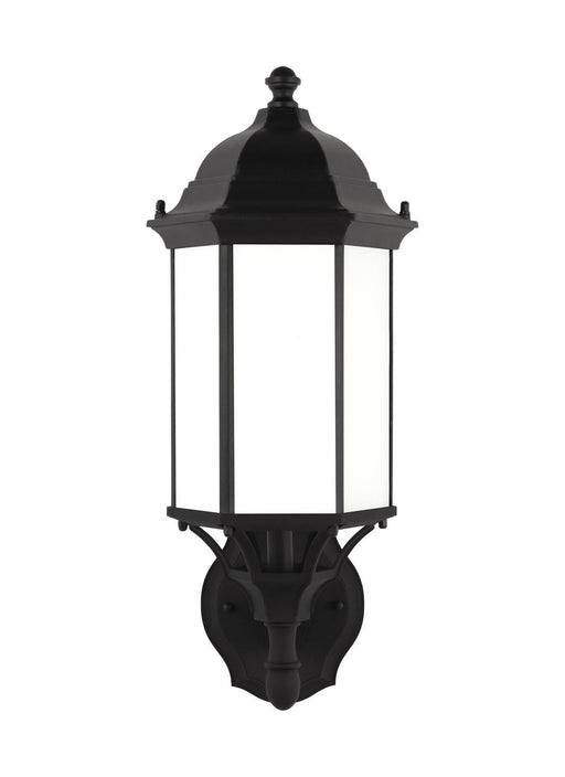 Sevier 19.38" Satin Etched Outdoor Wall Lantern in Black