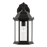 Sevier 15.88" Clear Glass Outdoor Wall Lantern in Black
