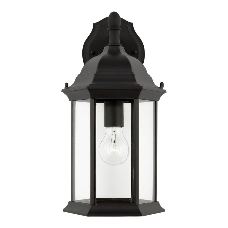 Sevier 15.88" Clear Glass Outdoor Wall Lantern in Black
