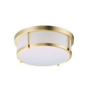 Rogue 13" LED Flush Mount in Satin Brass