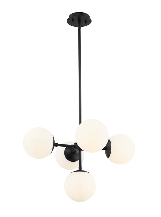 730-5MB - Midnetic 5-Light Pendant in Matte Black by Z-Lite Lighting