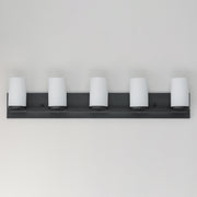 Lateral 5 Light Bath Vanity Light in Black