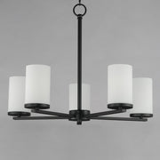 Lateral 5 Light Chandelier in Black