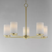 Lateral 5 Light Chandelier in Satin Brass