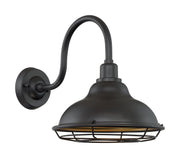 Newbridge 12" Outdoor Wall Sconce in Dark Bronze and Gold